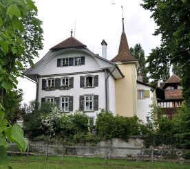 Wittigkofen замок