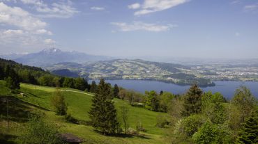 Lake Zugmountain, Zug