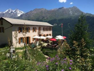 Edelweiss Zermatt - Mountain Hotel