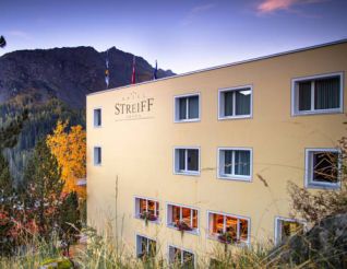 Hotel Streiff - The Excelsior